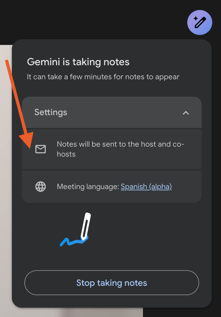 Gemini Settings